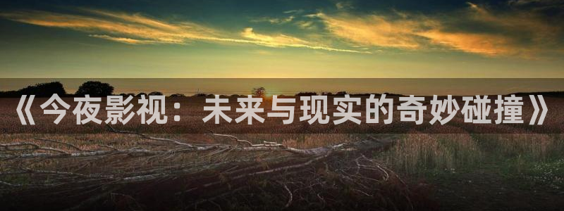 6080新视觉电影理论电视剧免费观看