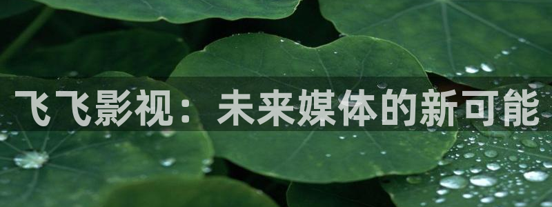 yy6080电影免费观看完整版